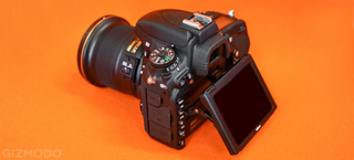 Illustration for article titled Nikon Is Poised to Beat Canon at DSLR Video